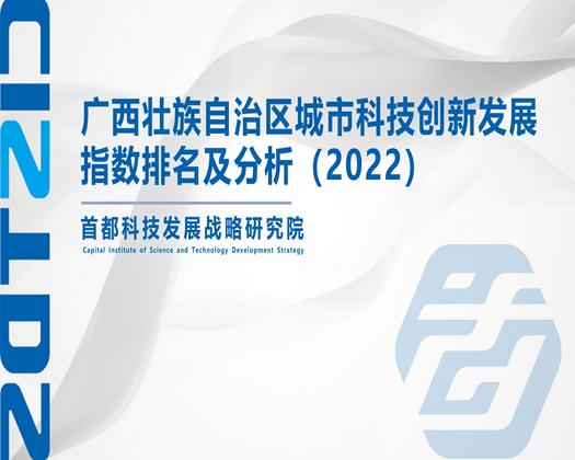 肉棒操逼好爽视频【成果发布】广西壮族自治区城市科技创新发展指数排名及分析（2022）